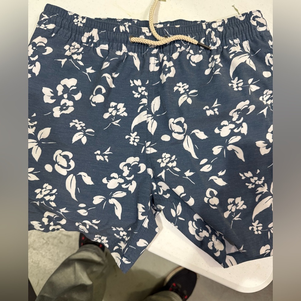 Fair Harbor Blue and White Patterned Shorts